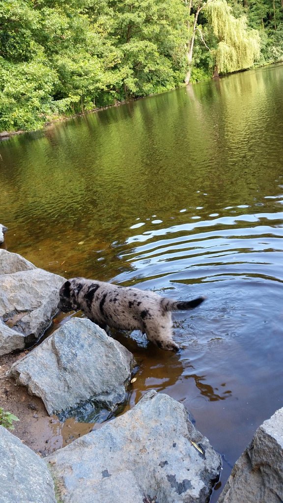 an der Oberschweinstiege