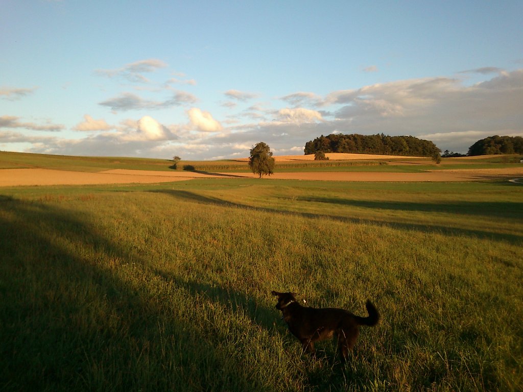 Tante Pria macht auch mal Urlaub