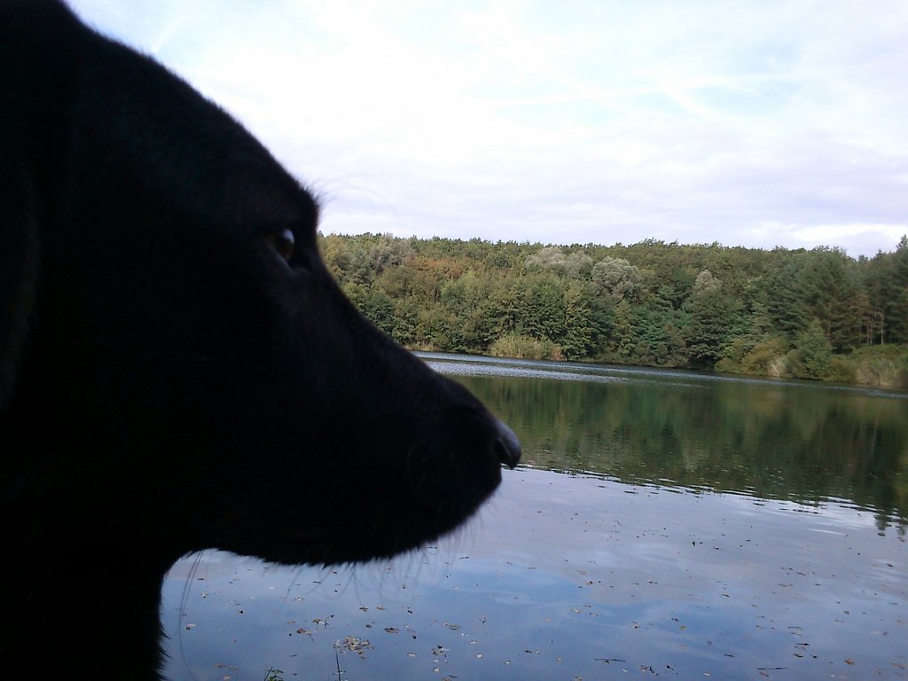 Oberwaldsee