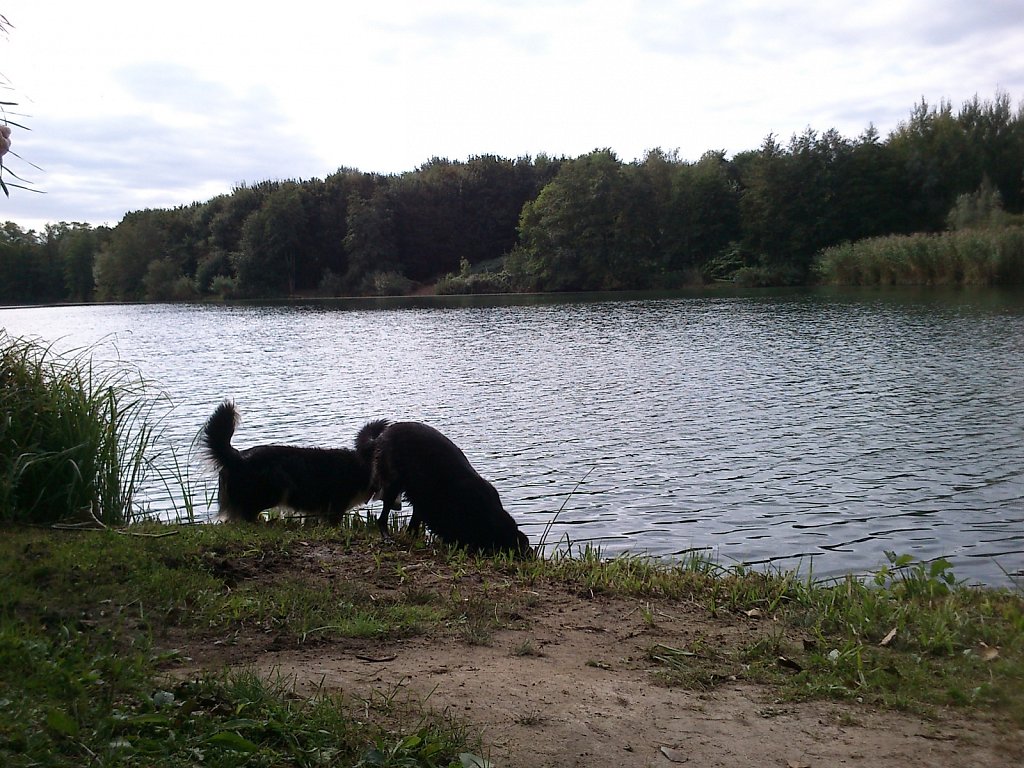 Oberwaldsee