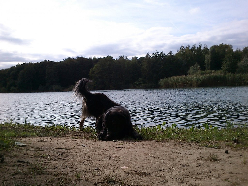 Oberwaldsee