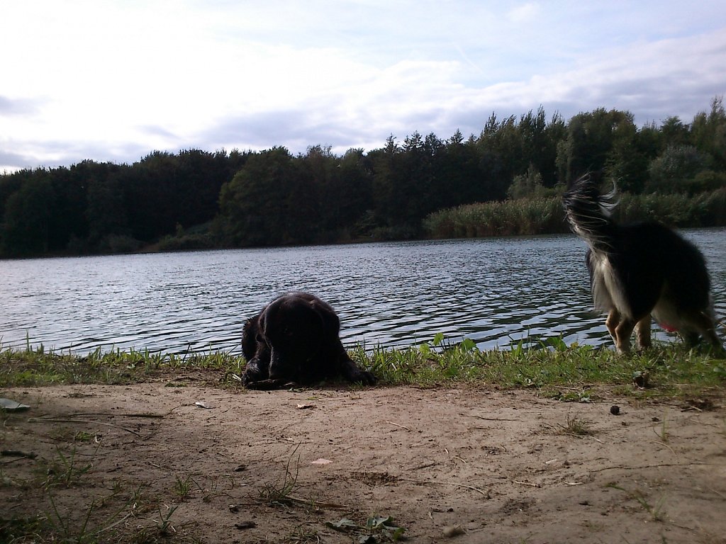 Oberwaldsee