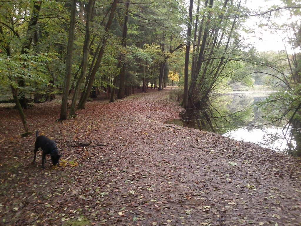 Lula am Kesselbruchweiher