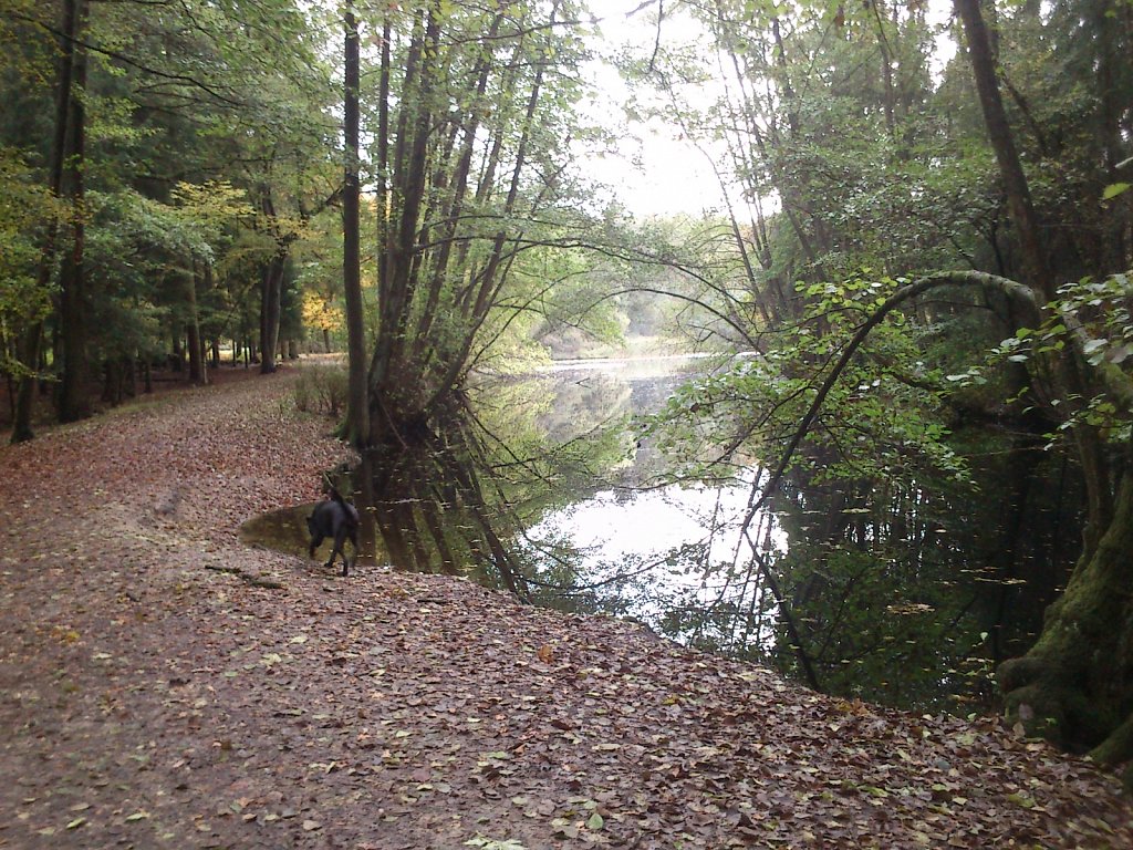 Lula am Kesselbruchweiher