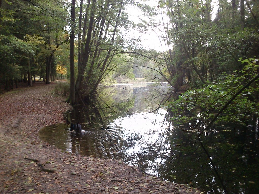 Lula am Kesselbruchweiher