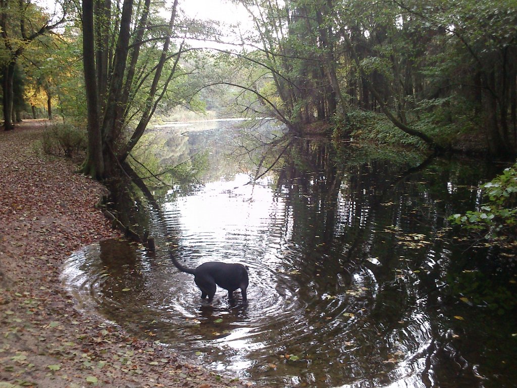 Lula am Kesselbruchweiher