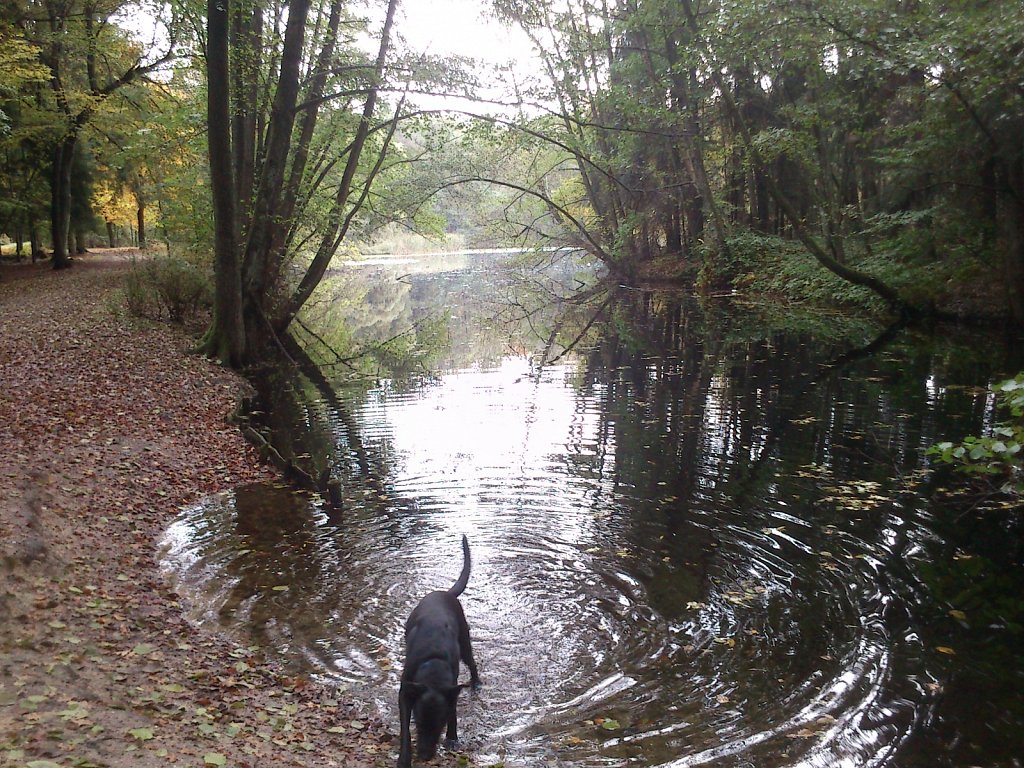 Lula am Kesselbruchweiher