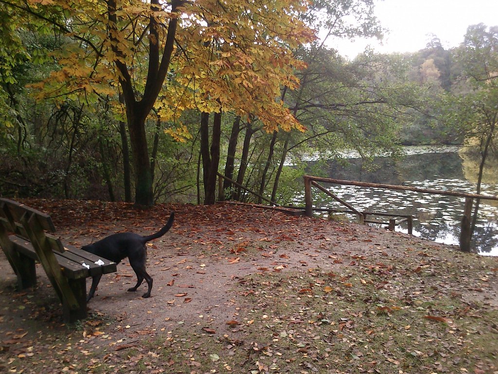 Lula am Kesselbruchweiher