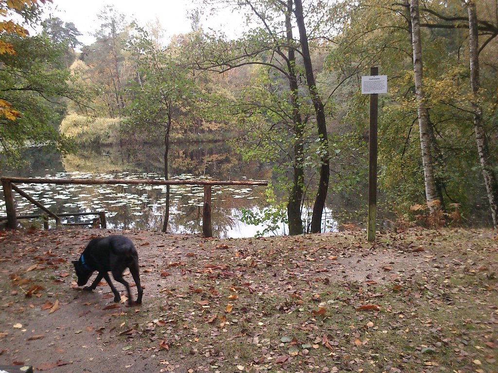 Lula am Kesselbruchweiher