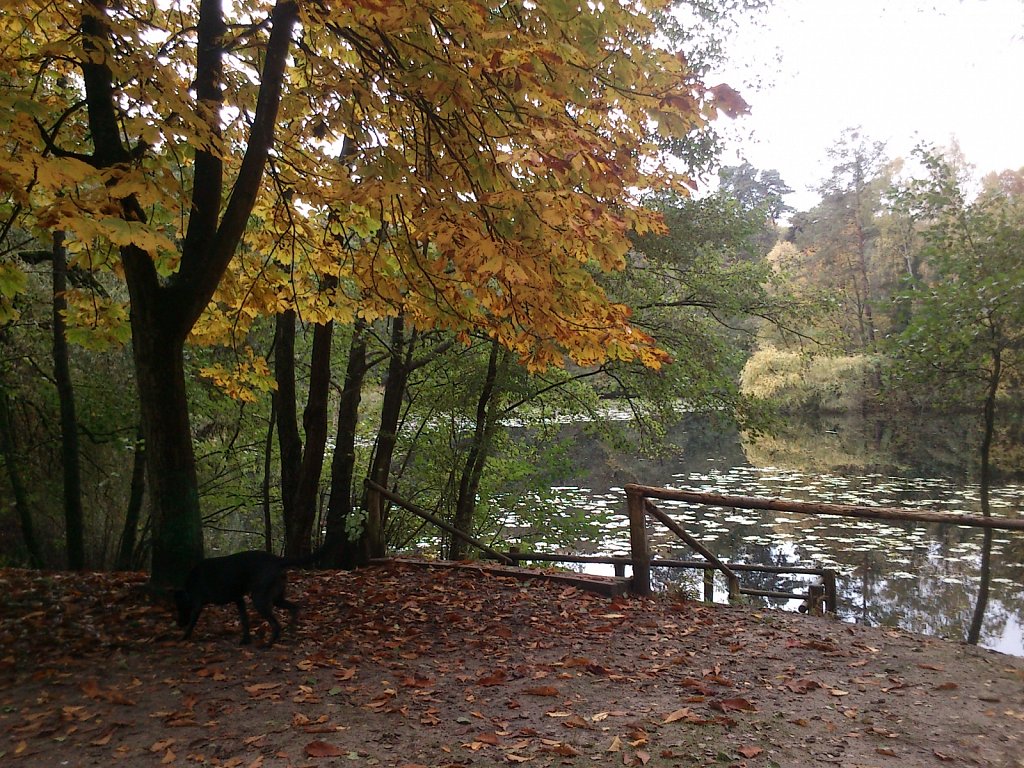 Lula am Kesselbruchweiher