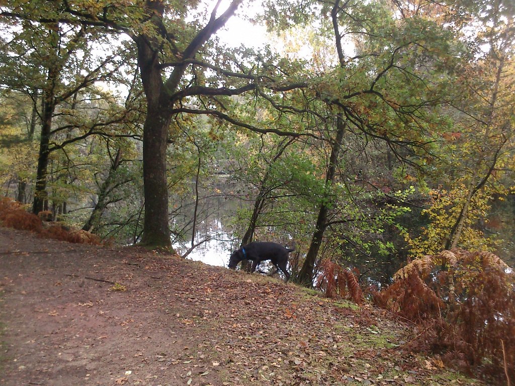 Lula am Kesselbruchweiher