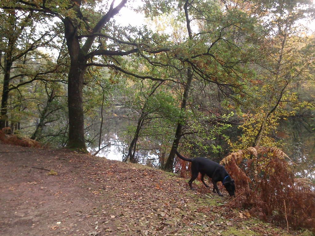 Lula am Kesselbruchweiher