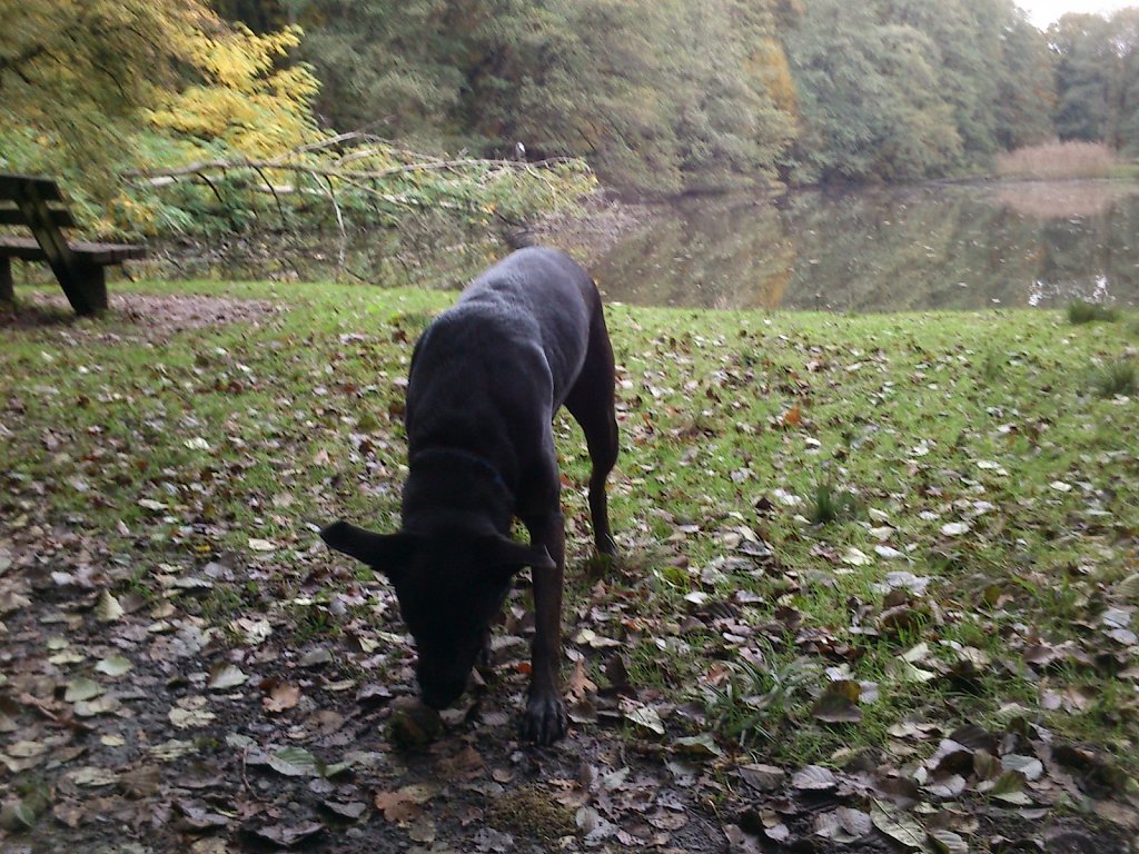 Lula am Försterwiesenweiher