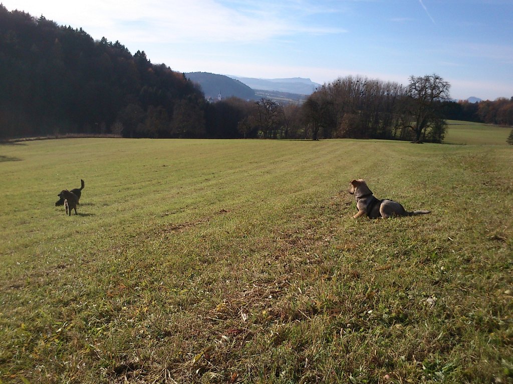 Auf Mäusejagd mit Lilo und Sheela