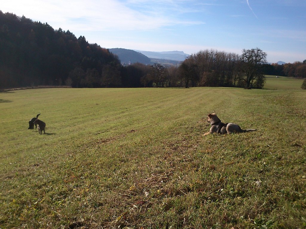 Auf Mäusejagd mit Lilo und Sheela