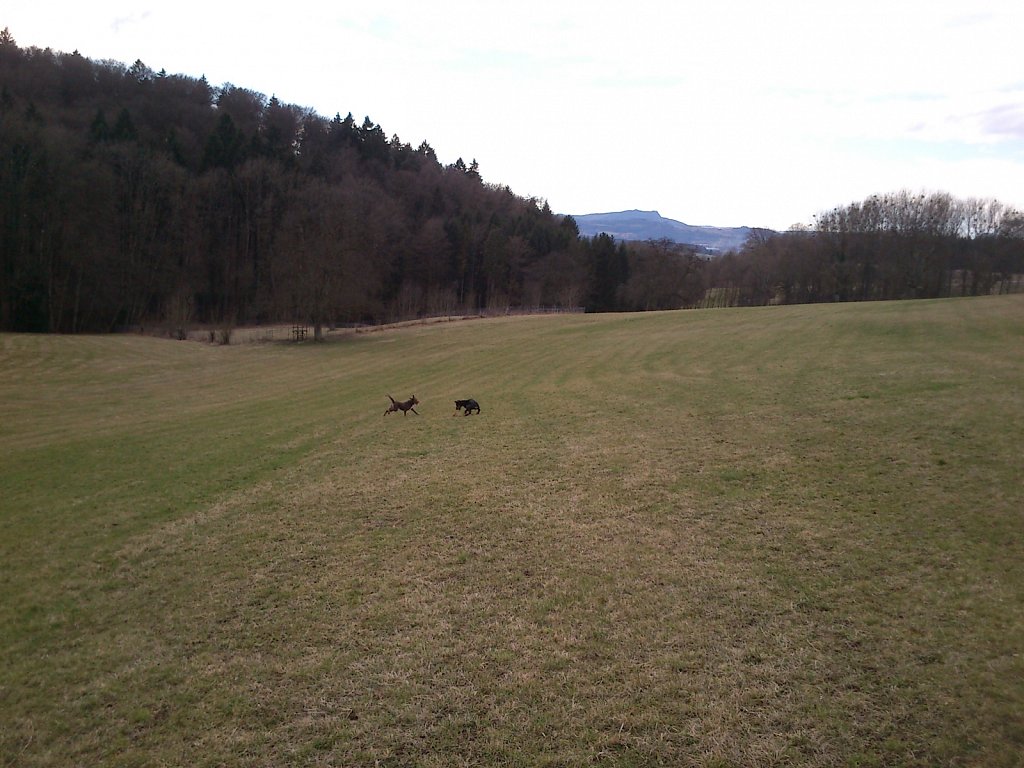 Monti mit Graf auf dem Berg