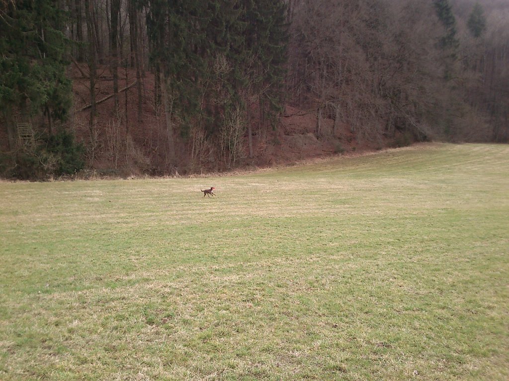 Monti mit Graf auf dem Berg