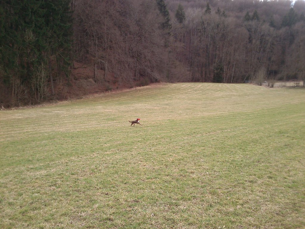 Monti mit Graf auf dem Berg