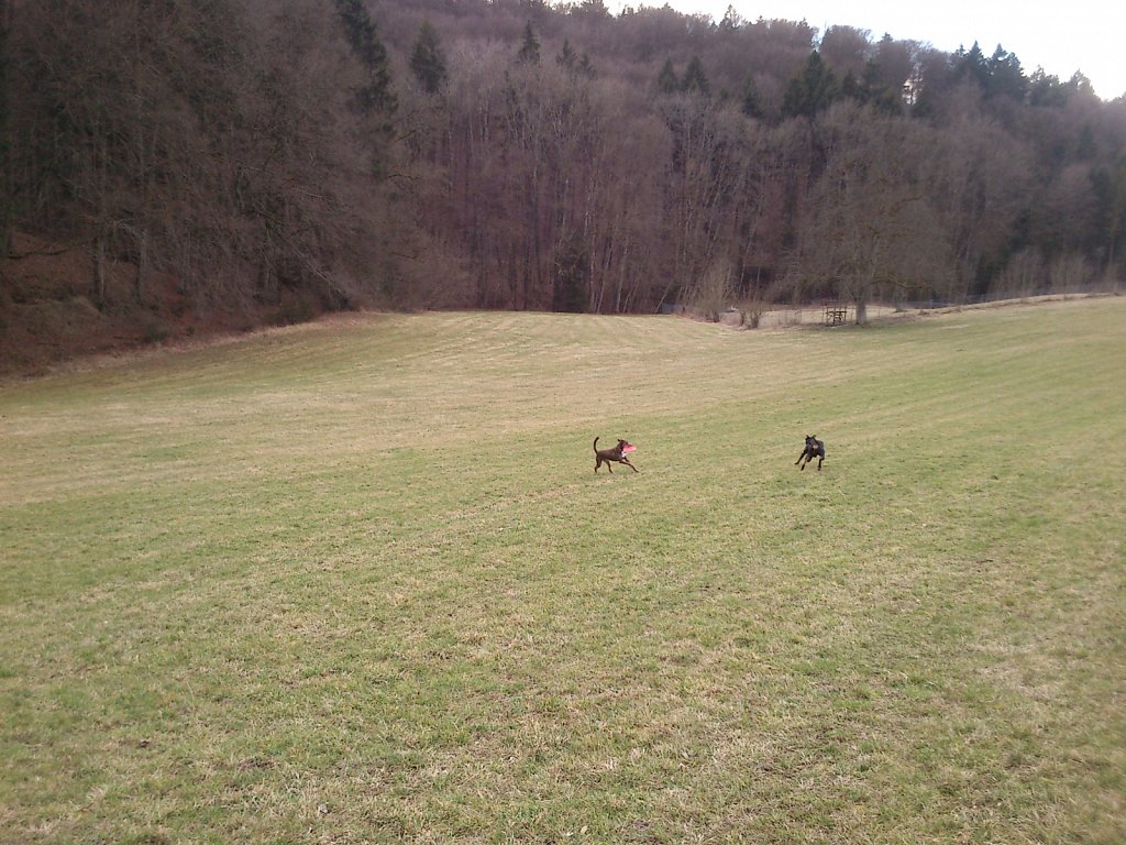 Monti mit Graf auf dem Berg