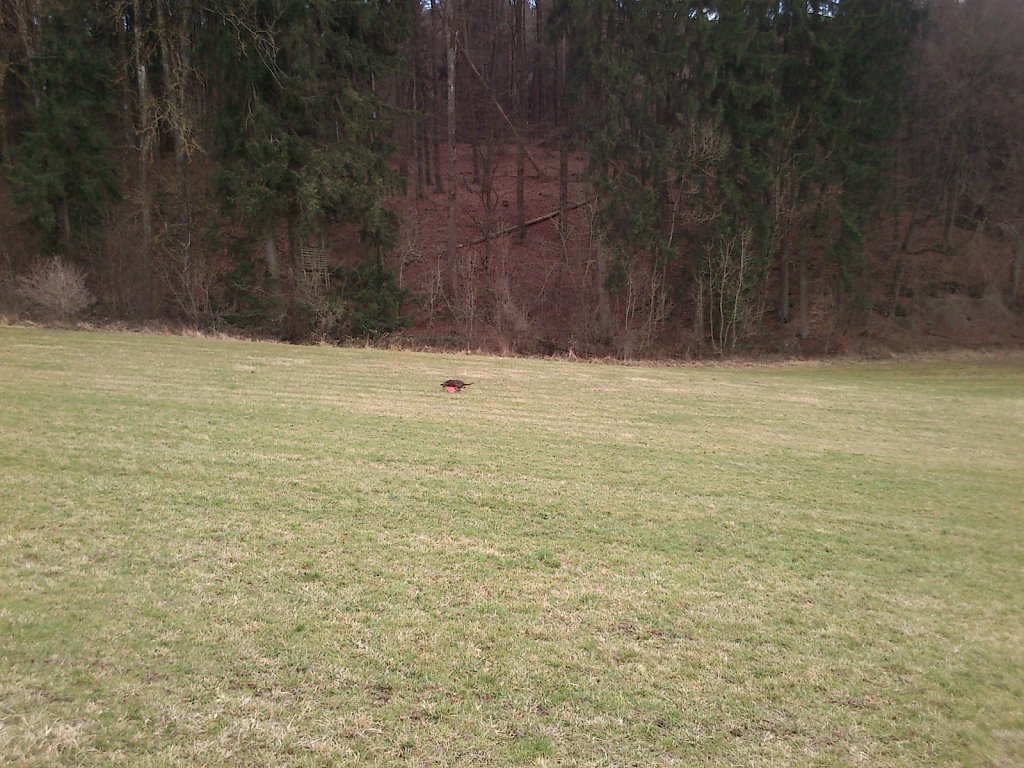 Monti mit Graf auf dem Berg