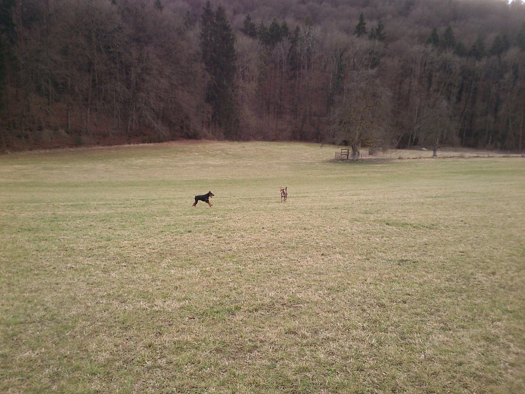 Monti mit Graf auf dem Berg