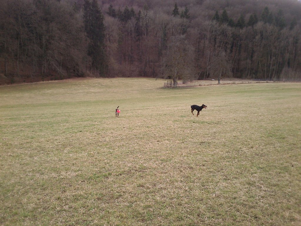 Monti mit Graf auf dem Berg