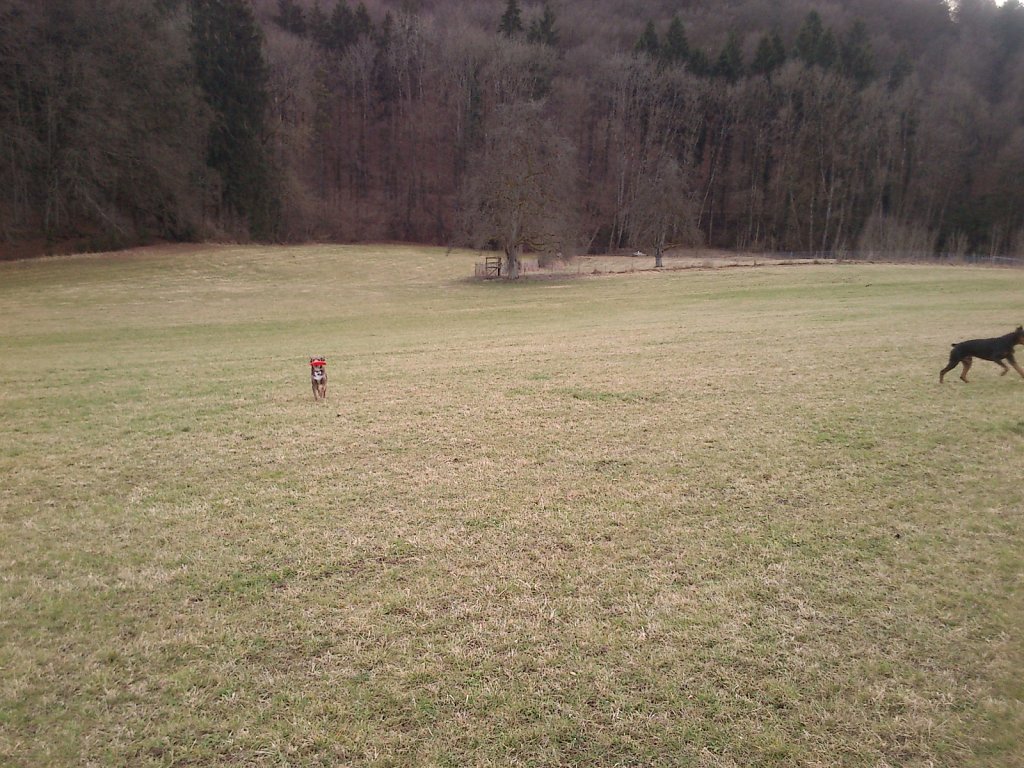 Monti mit Graf auf dem Berg