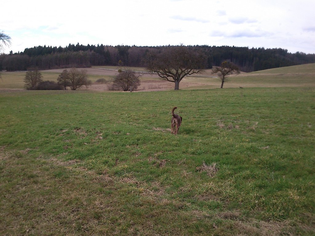 Monti mit Graf auf dem Berg