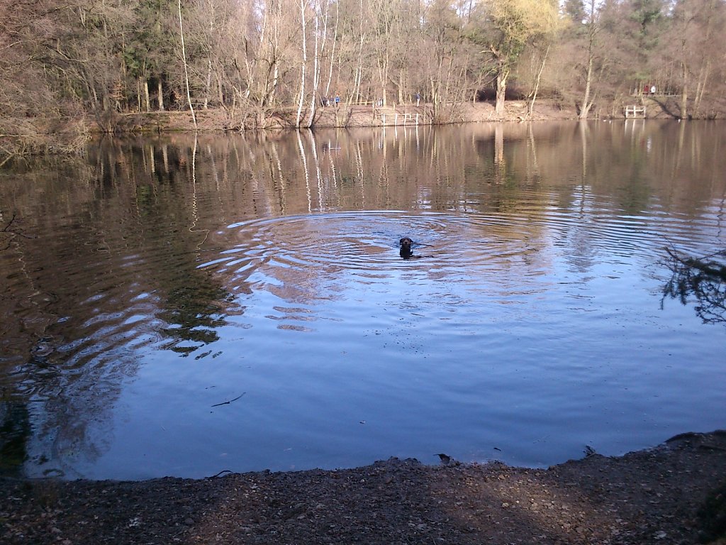 Badesaison eröffnet