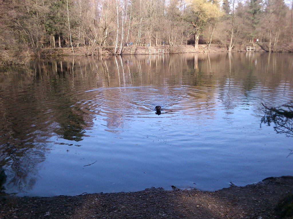 Badesaison eröffnet