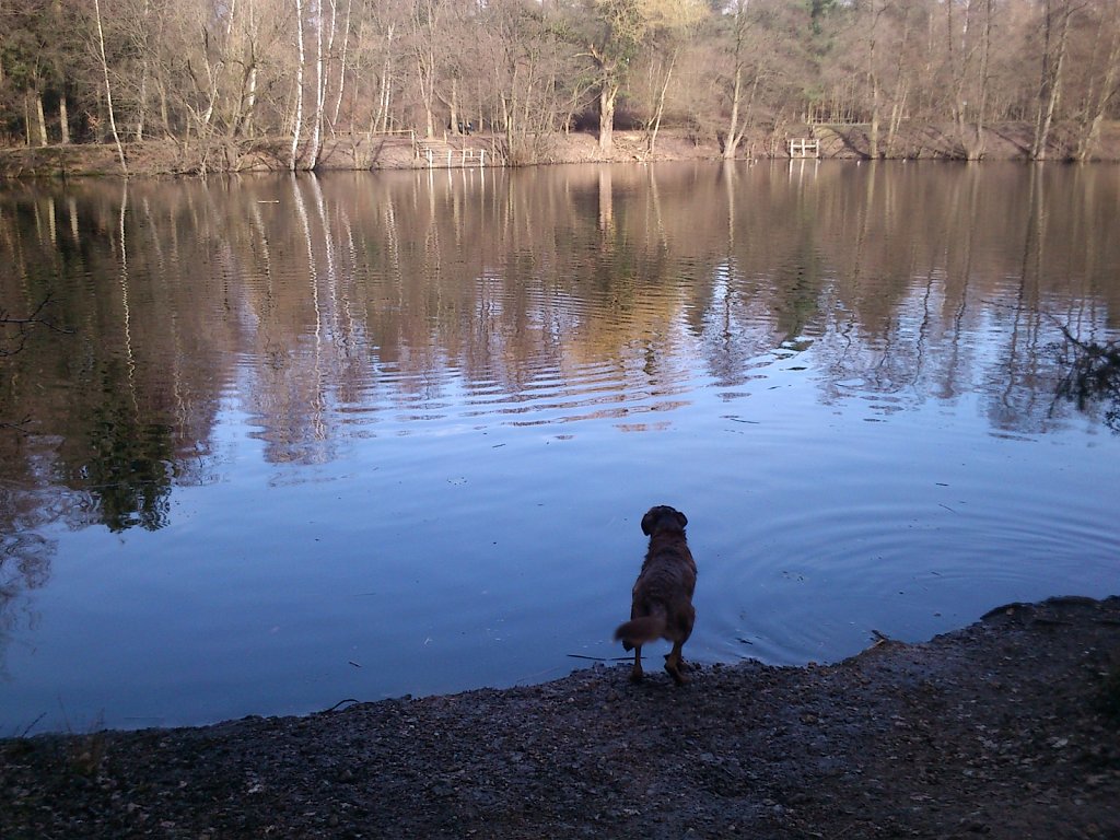 Badesaison eröffnet