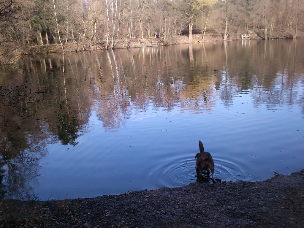 Badesaison eröffnet