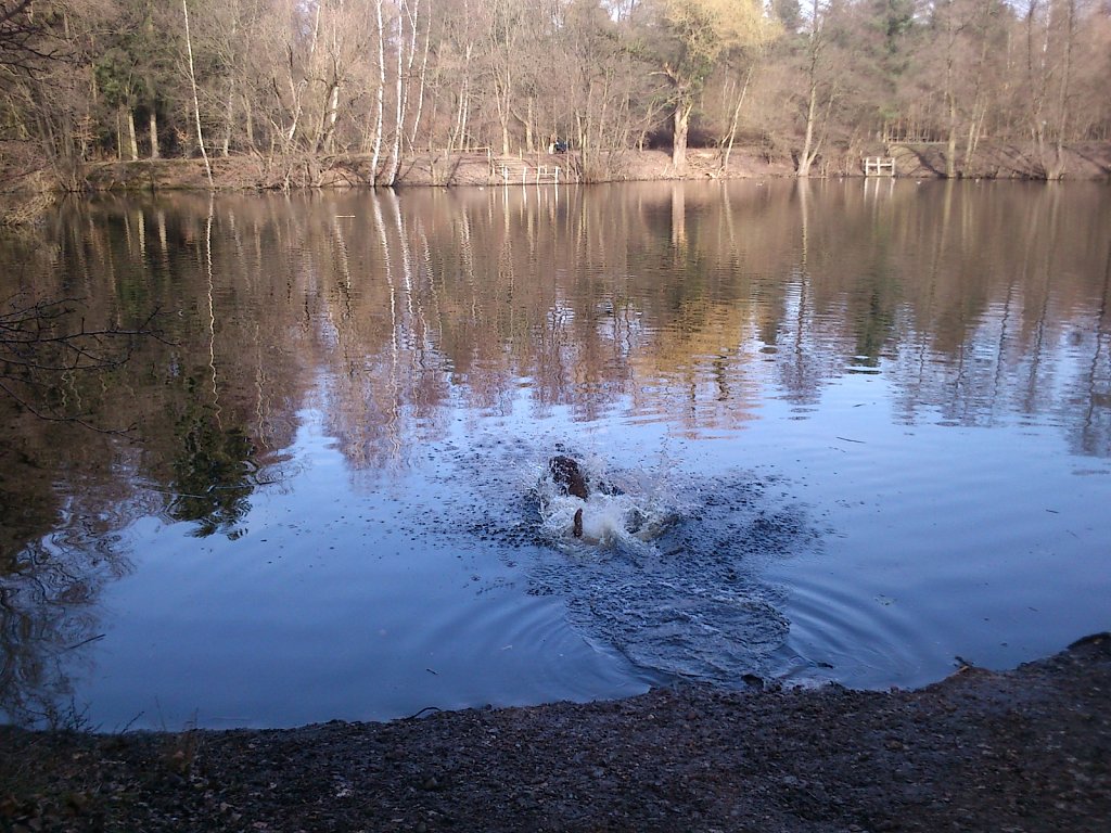 Badesaison eröffnet