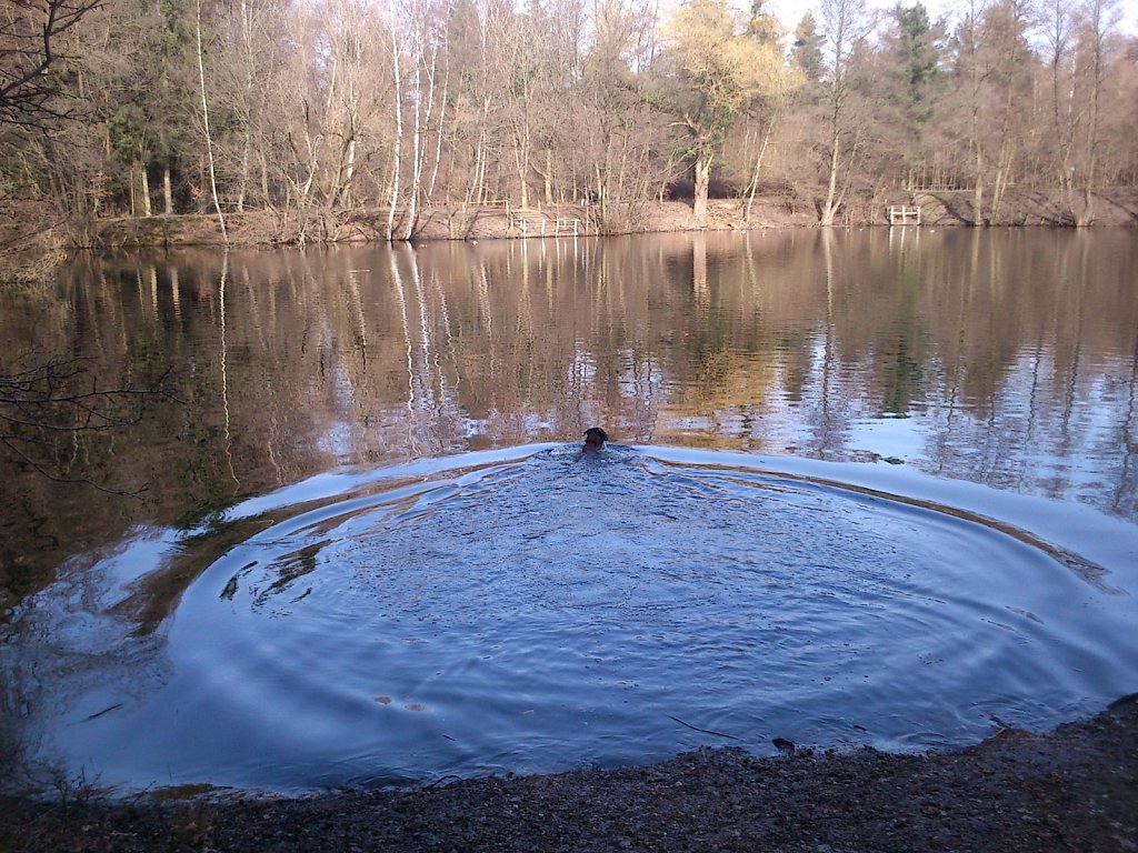 Badesaison eröffnet