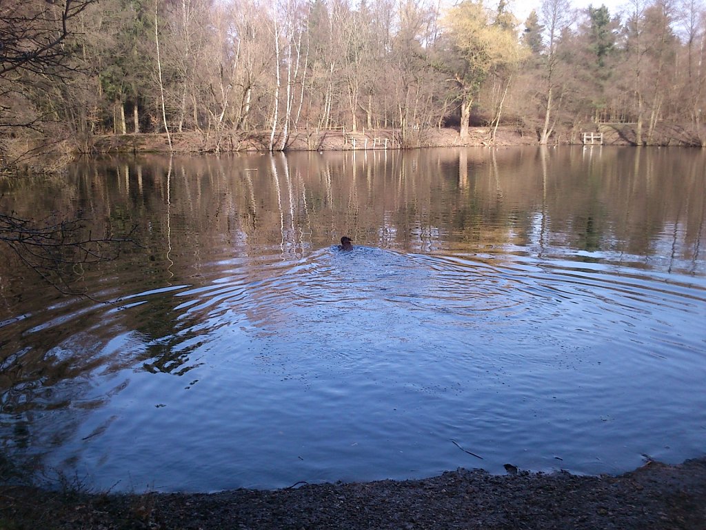 Badesaison eröffnet