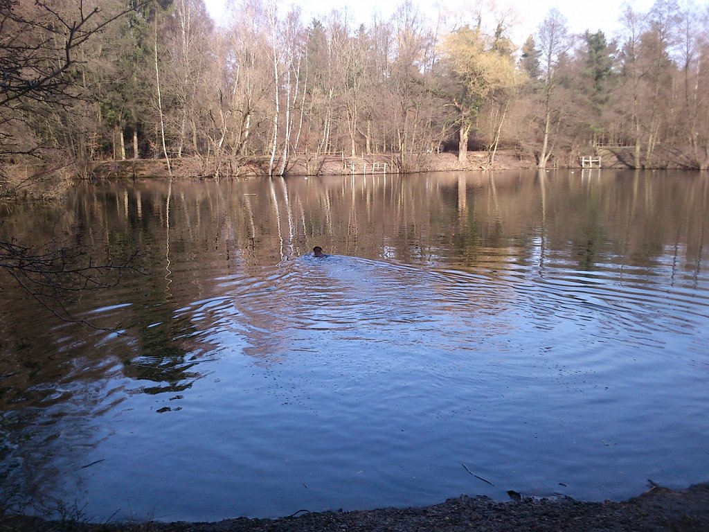 Badesaison eröffnet