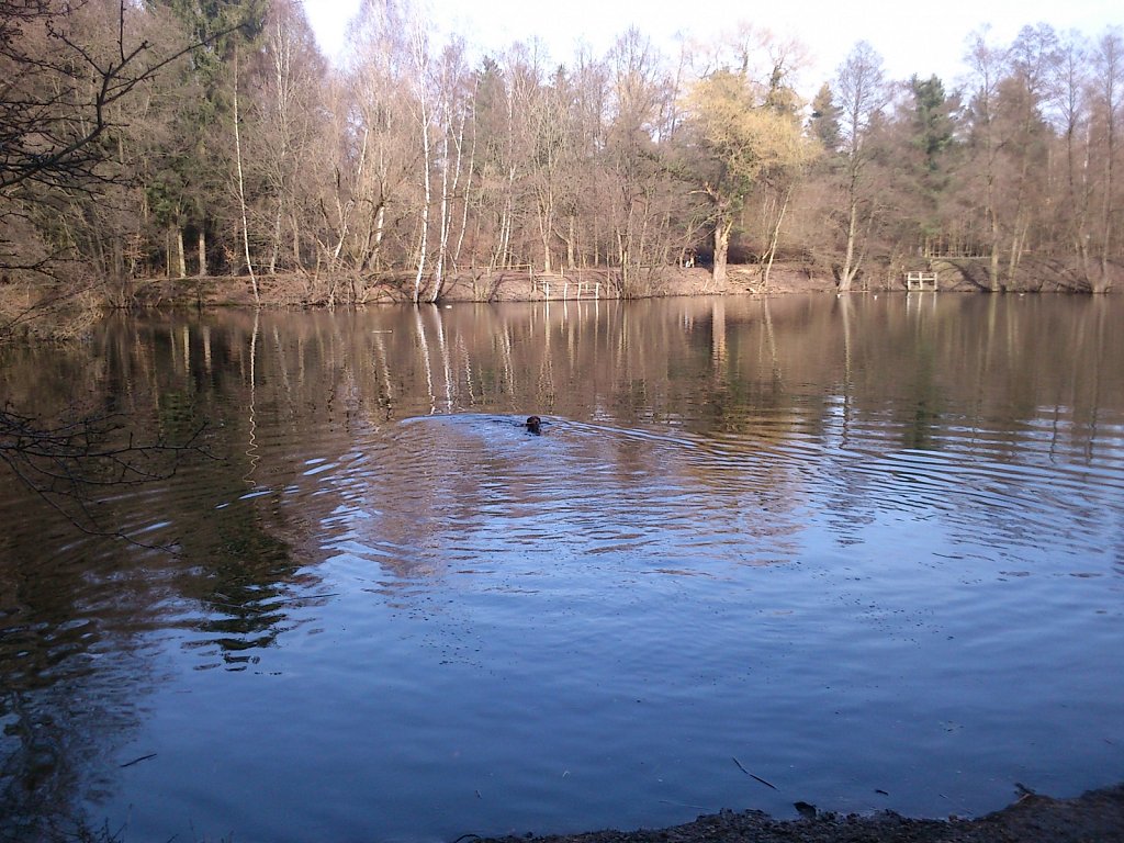 Badesaison eröffnet