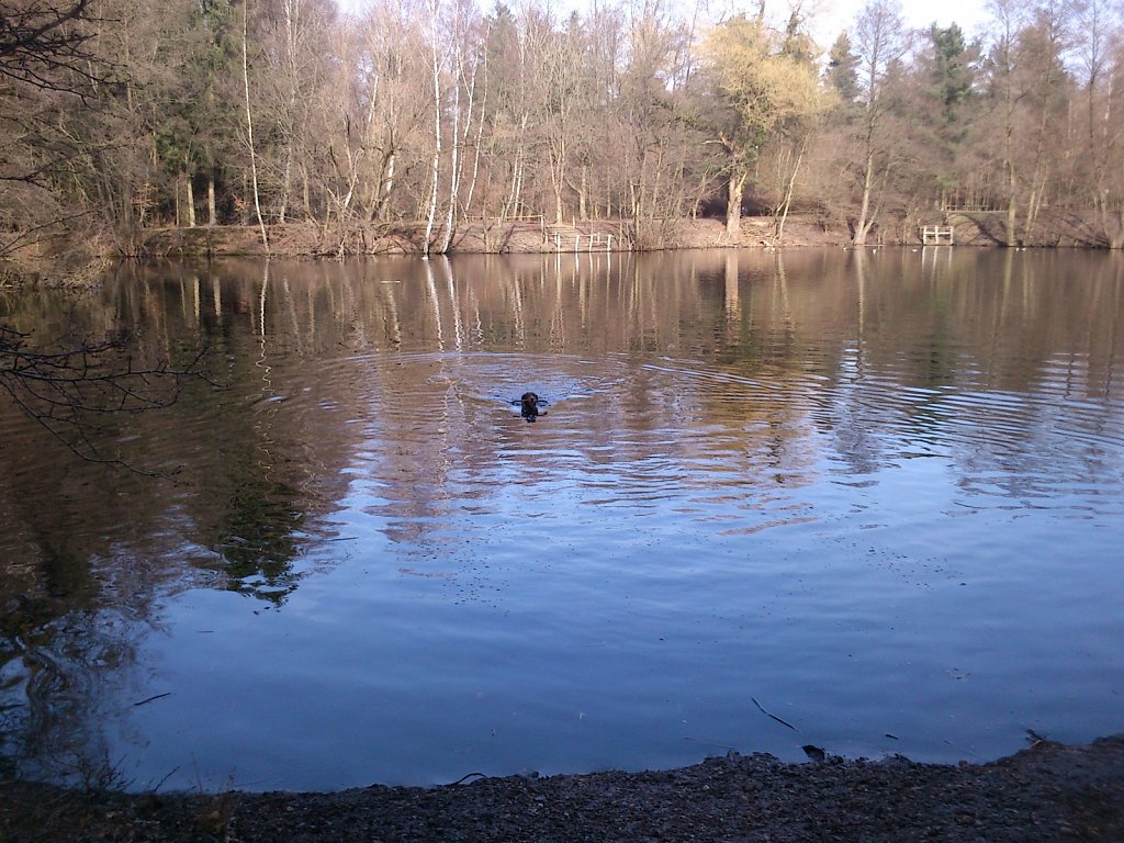 Badesaison eröffnet