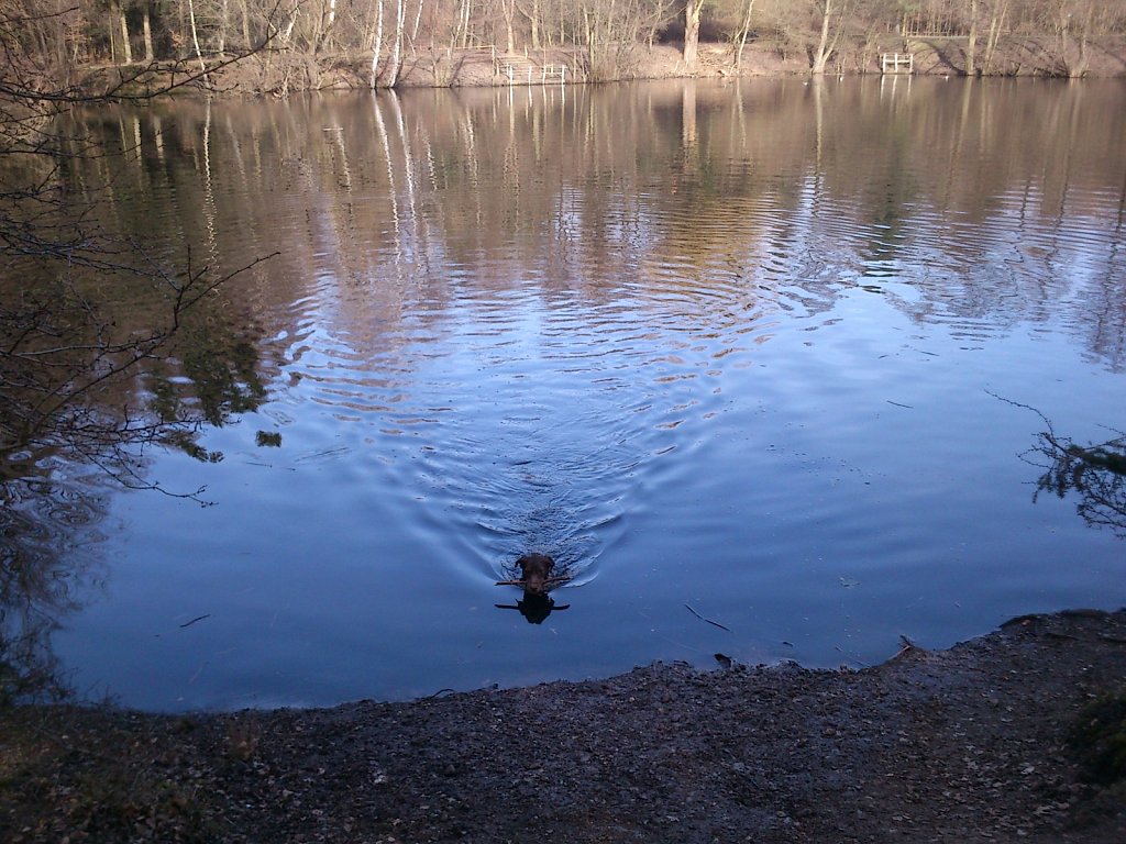 Badesaison eröffnet