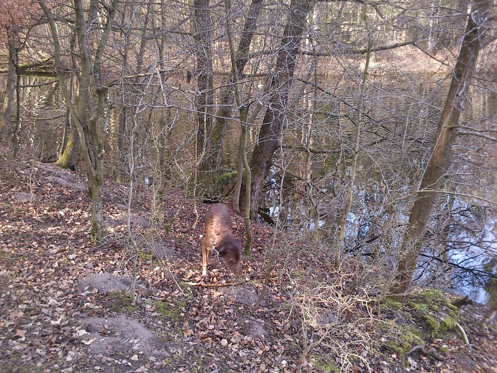 Badesaison eröffnet