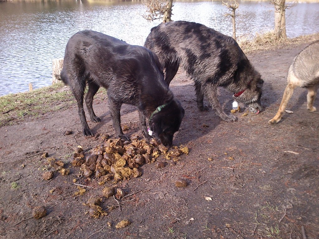 Mahlzeit!