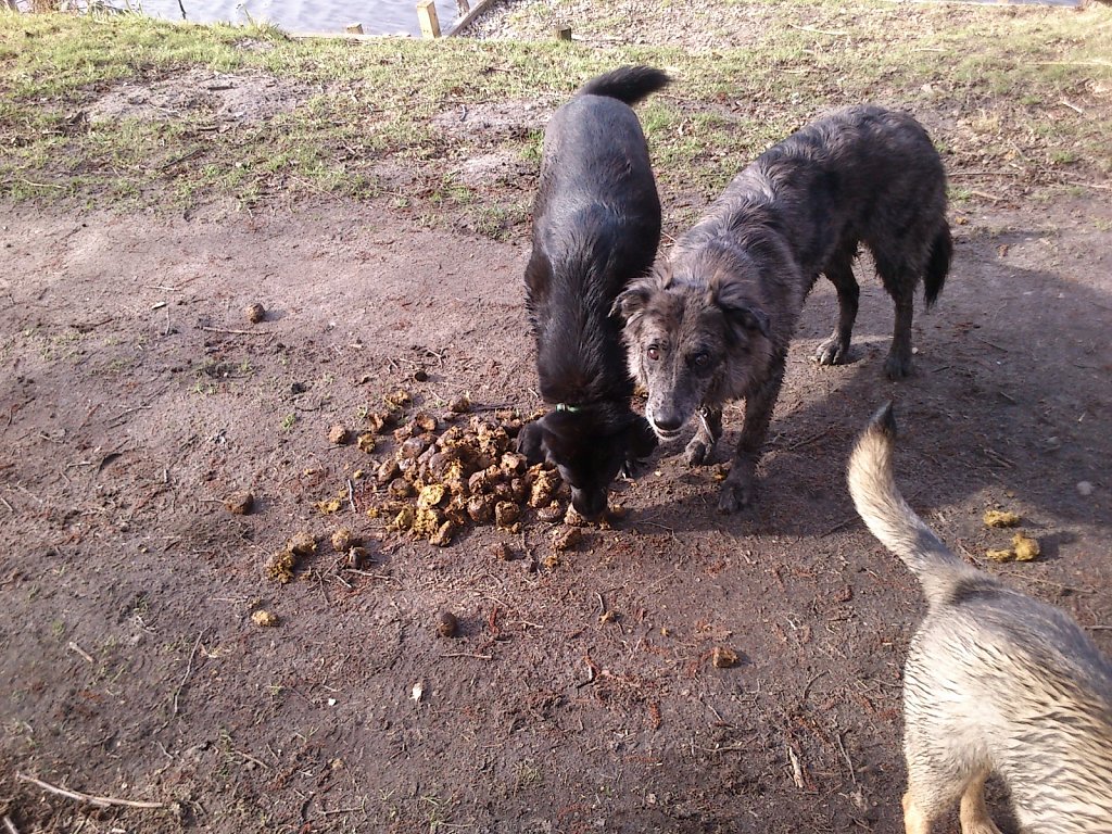 Mahlzeit!