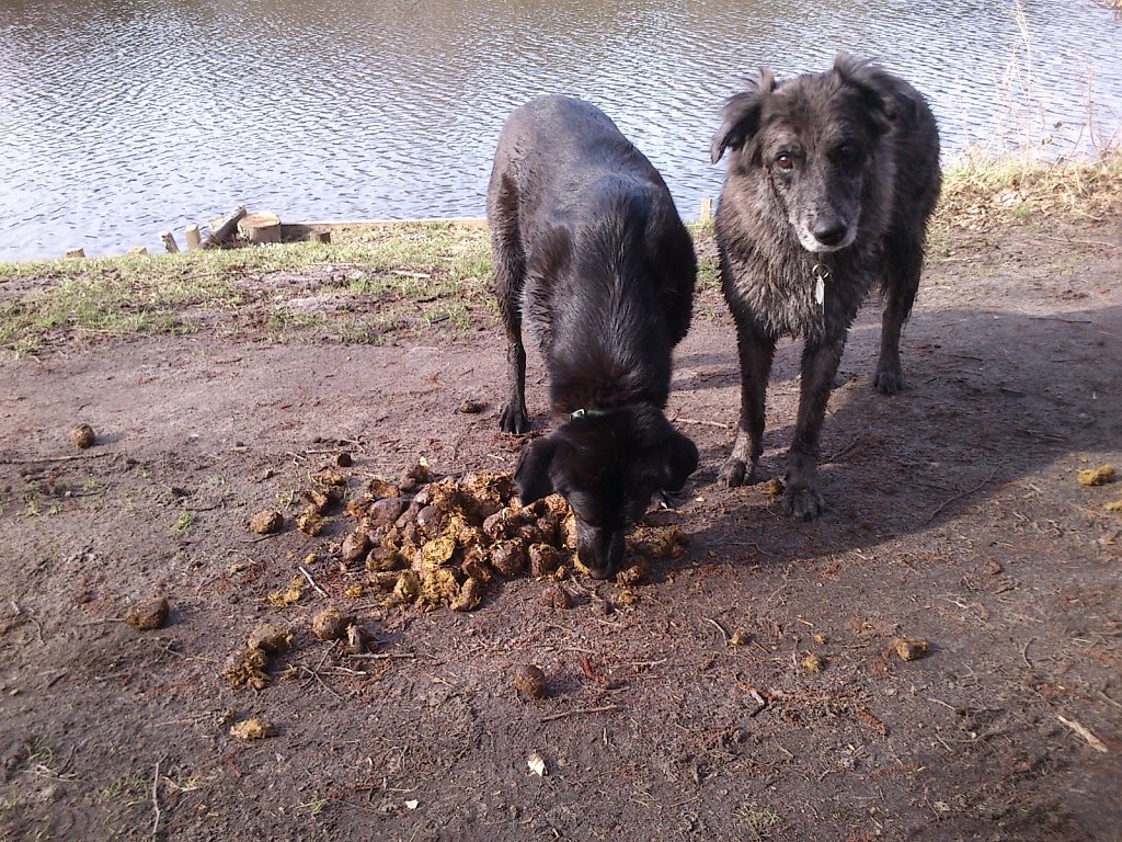 Mahlzeit!