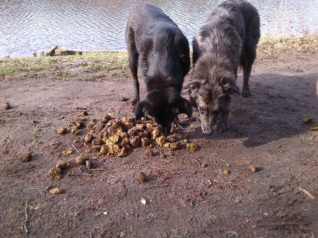 Mahlzeit!