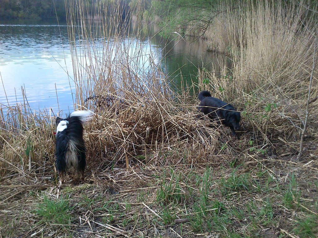 Pria mit Sheela und Bingo 