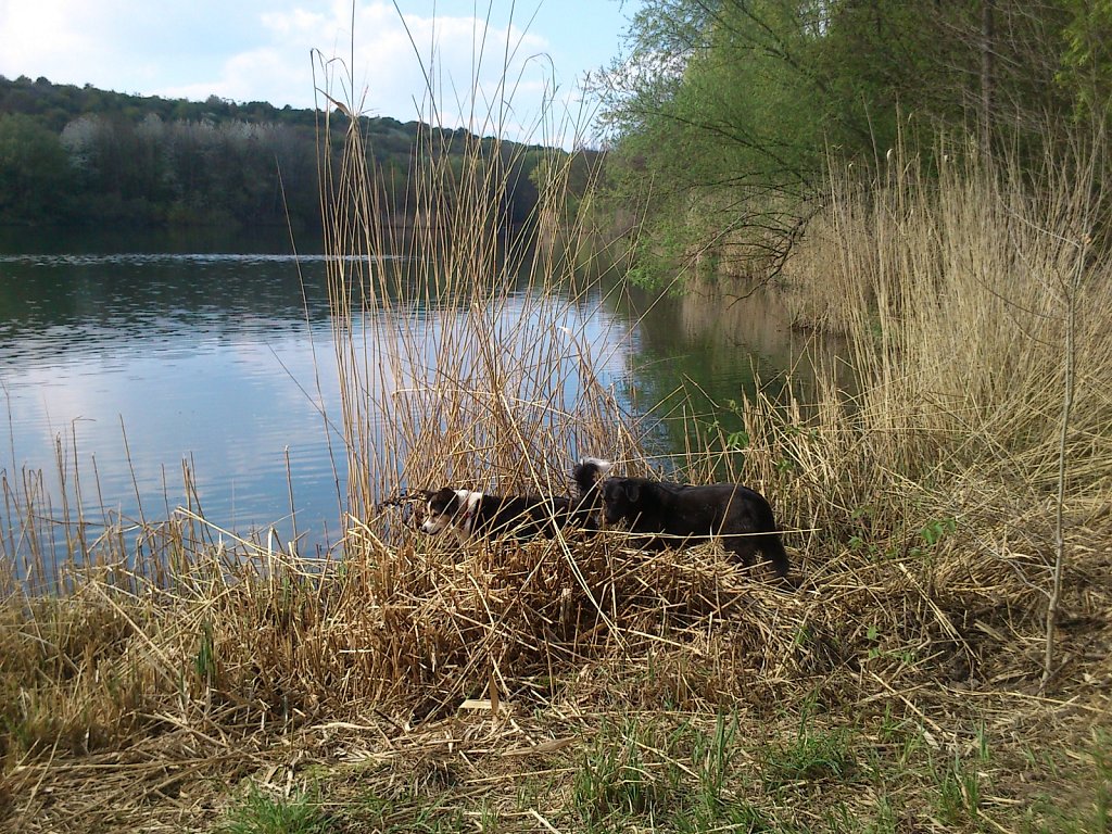 Pria mit Sheela und Bingo 