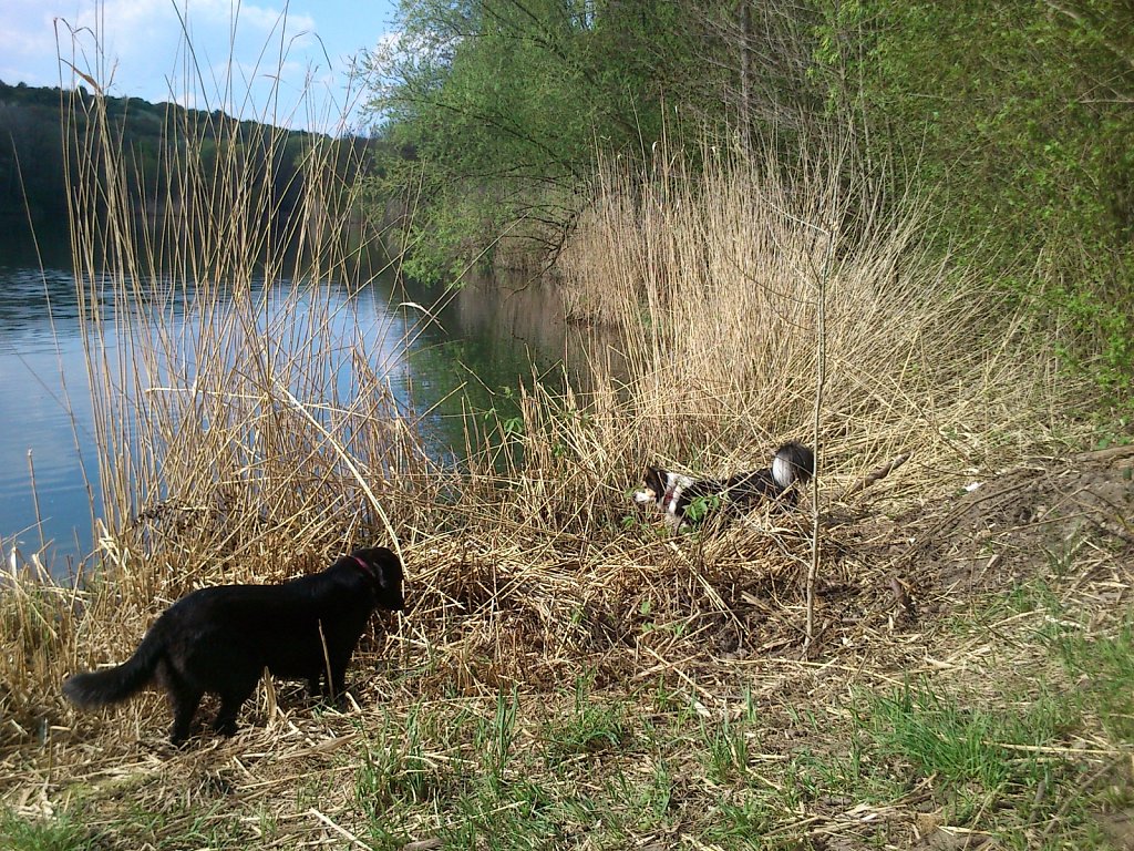 Pria mit Sheela und Bingo 