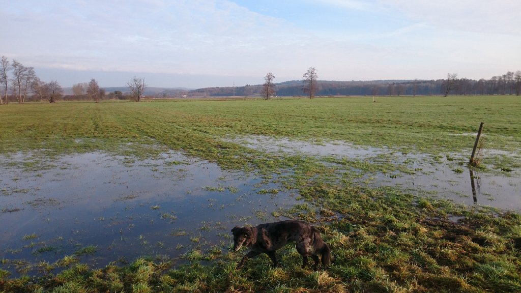 Unsere Lilo - meist im Matsch