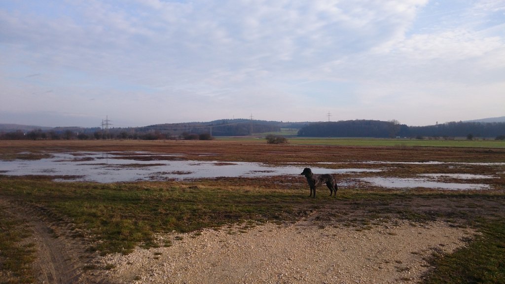 Unsere Lilo - meist im Matsch