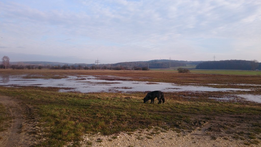 Unsere Lilo - meist im Matsch